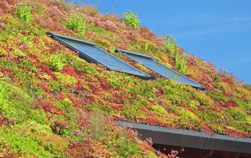 Hammoon living roof systems